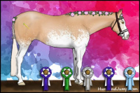 Horse Color:White Spotted Silver Bay Pearl