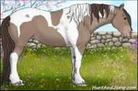 Horse Color:Classic Champagne Tobiano 