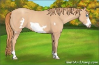 Horse Color:Gold Champagne Frame