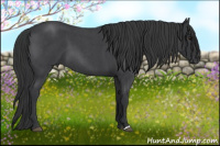Horse Color:Blue Roan 