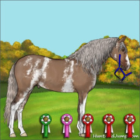 Horse Color:White Spotted Silver Brown Dun