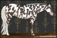 Horse Color:Liver Chestnut Mushroom Near Leopard 