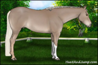 Horse Color:Chestnut Mushroom