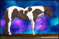 Horse Color:Liver Chestnut Tobiano 
