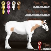 Horse Color:Buckskin Roan Splash Tobiano 