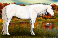 Horse Color:Perlino Dun Tobiano Rabicano 