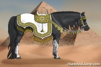 Horse Color:Black  and Black 