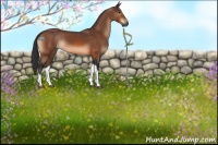 Horse Color:Bay Tobiano 