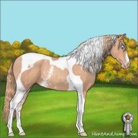 Horse Color:White Spotted Gold Champagne Tobiano 