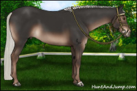 Horse Color:Liver Chestnut Mushroom 