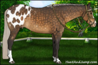 Horse Color:Silver Buckskin Mushroom Sabino Varnish 