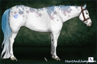 Horse Color:Watercolor White Spotted Brown Ice Splash Rabicano