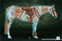 Horse Color:Thunderstruck Chestnut Ice 