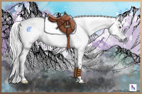 Horse Color:Red Chinchilla Roan Tobiano 