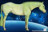 Horse Color:Watercolor Chestnut Ice Sabino Rabicano 