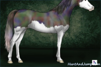 Horse Color:Nacre Black Splash 