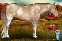 Horse Color:White Spotted Brown Pearl