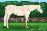Horse Color:Silver Buckskin Roan Pearl Frame  and Silver Amber Cream Champagne Roan Pearl 