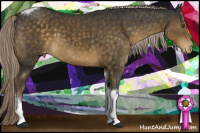 Horse Color:Chocolate Palomino Tobiano Appaloosa Rabicano 