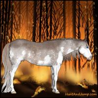Horse Color:Liver Red Roan Splash 