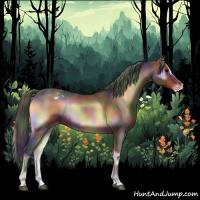 Horse Color:Nacre Brown Onyx Sabino Appaloosa 