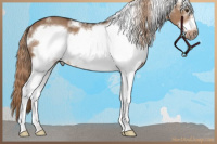 Horse Color:White Spotted Liver Red Dun Frame 
