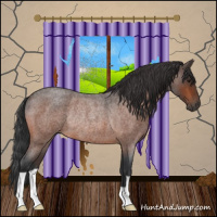Horse Color:Brown Roan Rabicano 