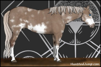 Horse Color:Silver Grullo Sabino Splash Frame