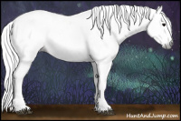 Horse Color:Gray White Spotted Grullo Sabino Rabicano 