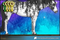 Horse Color:Black Sabino Frame 