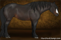 Horse Color:Gray Brown 