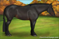 Horse Color:Gray Brown 