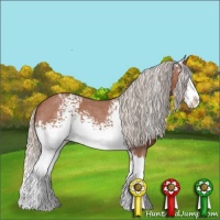 Horse Color:White Spotted Silver Bay Roan Splash 