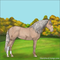 Horse Color:Silver Classic Champagne Ice 