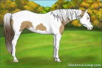 Horse Color:Classic Cream Champagne Splash Tobiano 