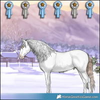 Horse Color:White Spotted Sable Champagne Appaloosa 