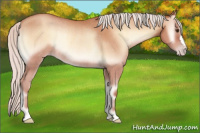 Horse Color:Silver Sable Champagne Onyx Rabicano 