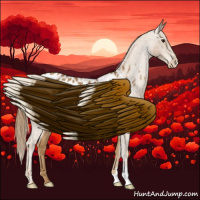 Horse Color:Chestnut Appaloosa