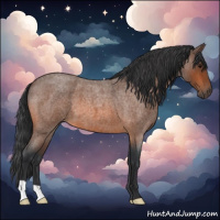 Horse Color:Bay Roan 