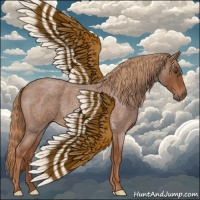 Horse Color:Red Roan 
