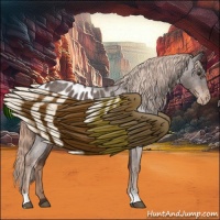 Horse Color:Liver Red Roan Appaloosa 