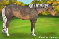 Horse Color:Silver Smoky Black Appaloosa 