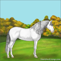 Horse Color:White Spotted Brown Ice Splash 