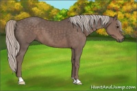Horse Color:Silver Black 
