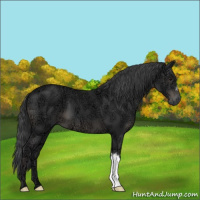 Horse Color:Black Ice 