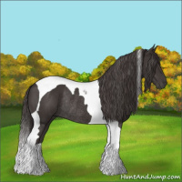 Horse Color:Smoky Black Tobiano Rabicano 