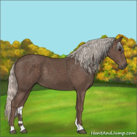 Horse Color:Silver Black 