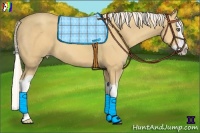 Horse Color:Gold Cream Champagne Splash 