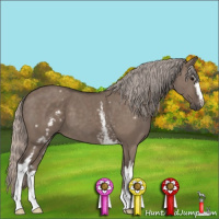 Horse Color:White Spotted Silver Grullo 