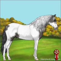 Horse Color:Grullo Tobiano Frame 